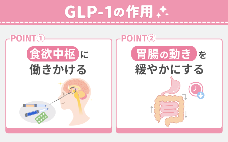 GLP-1ダイエット薬の効果は「食欲抑制」